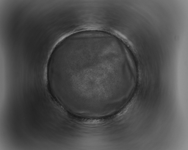 X0000096711174200802191502