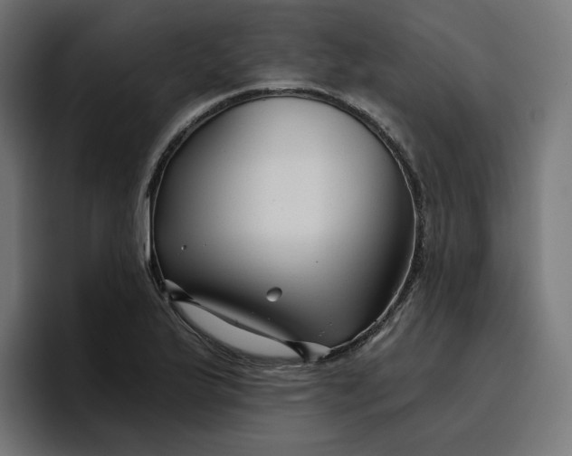 X0000096711175200802191502