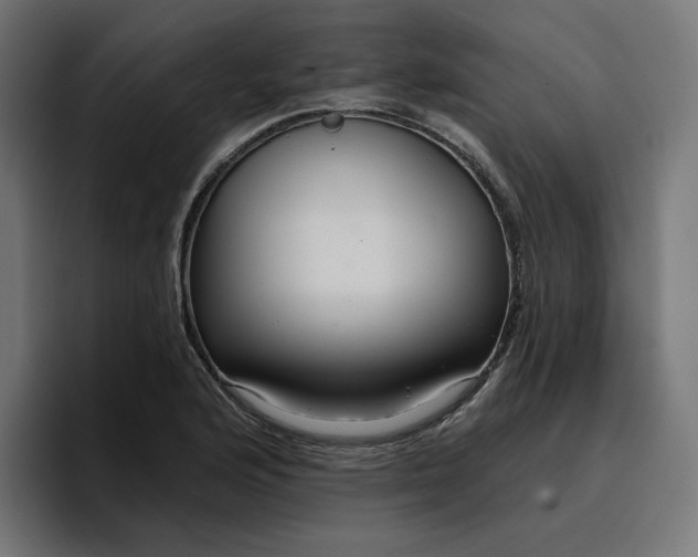 X0000096711176200802191502