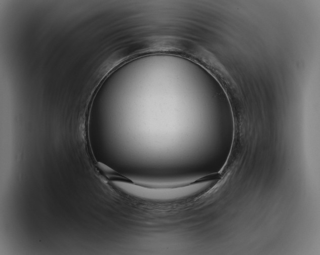 X0000096711177200802191502