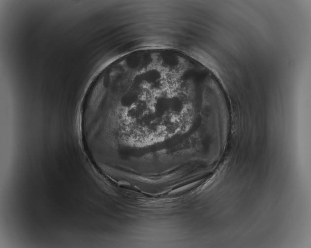 X0000096711179200802191502