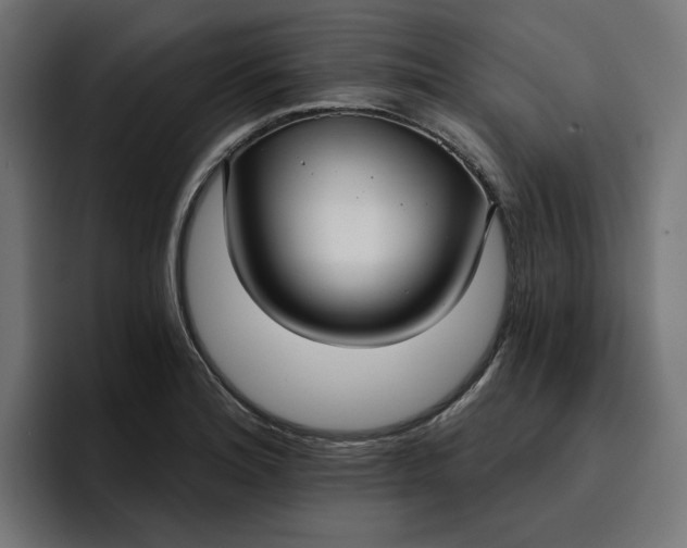 X0000096711180200802191502