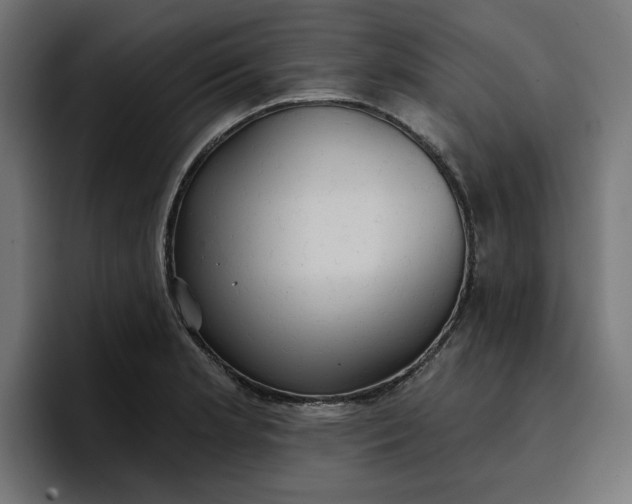 X0000096711181200802191502