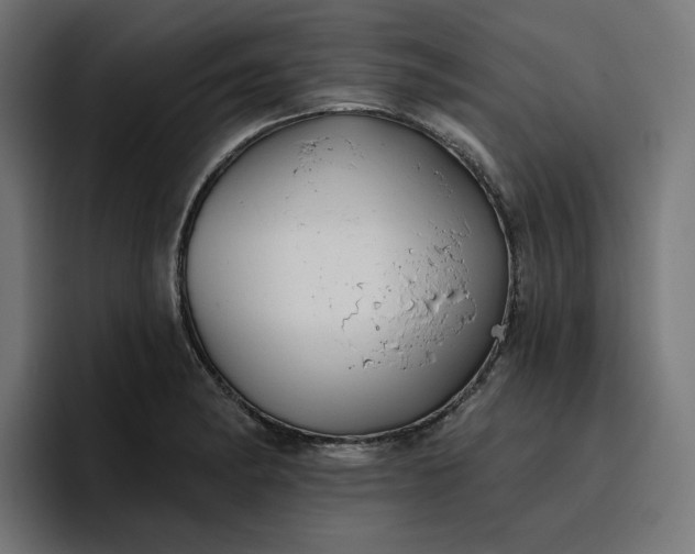 X0000096711182200802191502