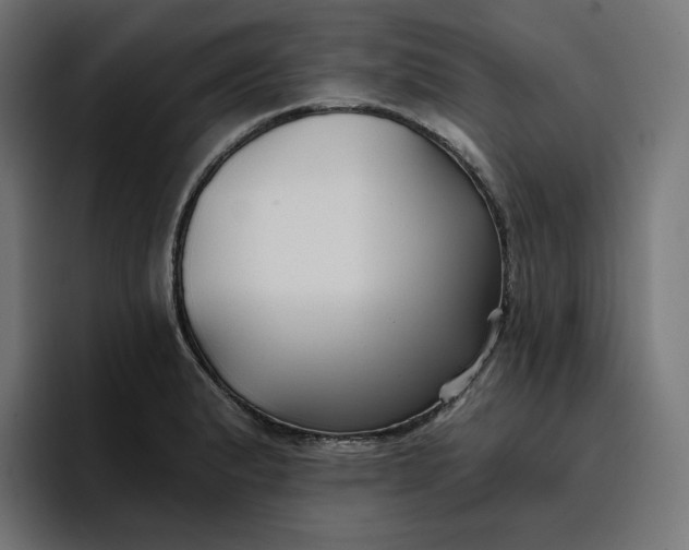 X0000096711183200802191502