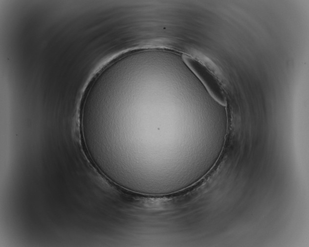 X0000096711184200802191502