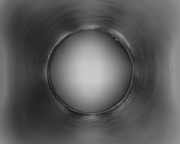 X0000096711186200802191502