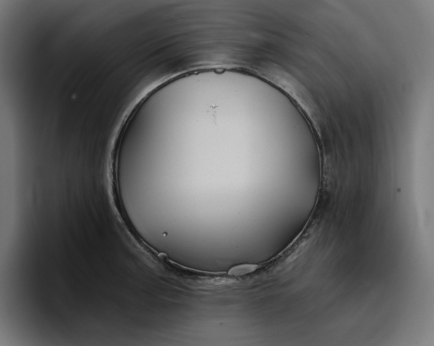 X0000096711187200802191502