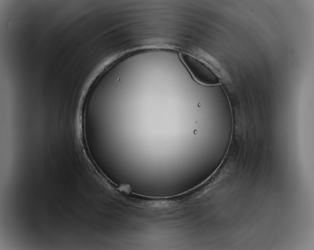 X0000096711188200802191502