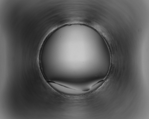 X0000096711189200802191502