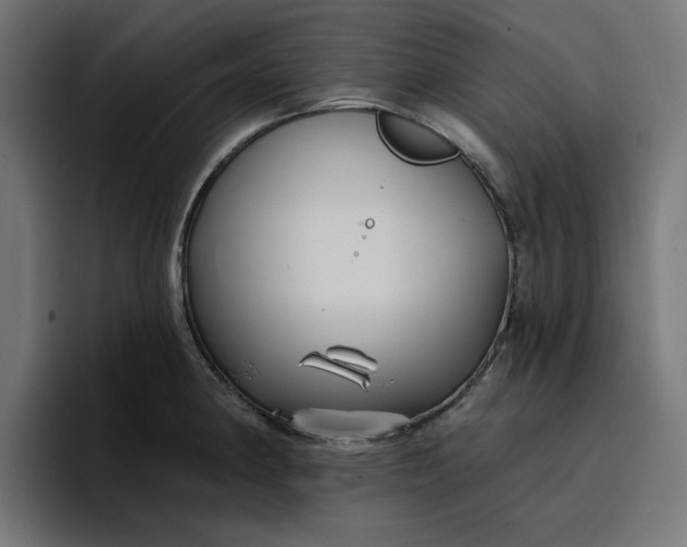 X0000096711190200802191502