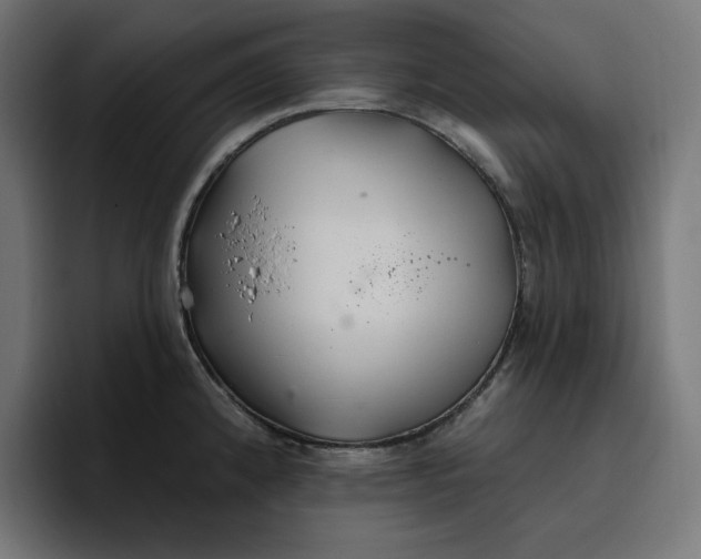 X0000096711192200802191502