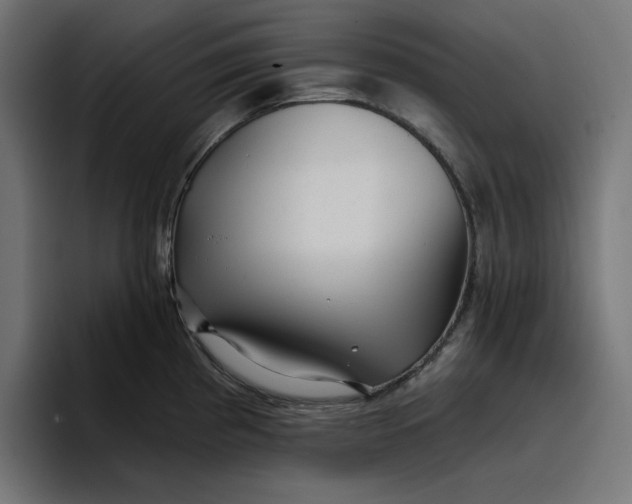 X0000096711193200802191502