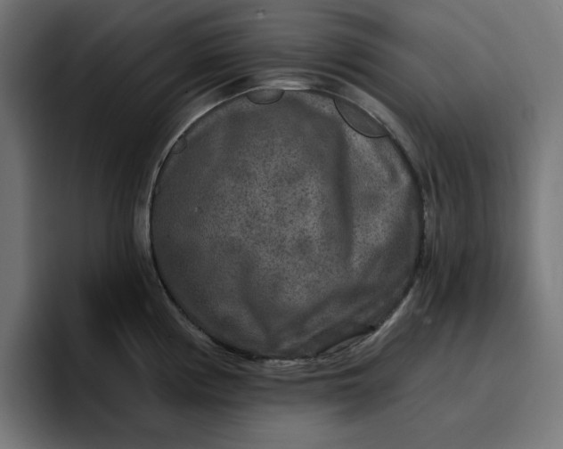 X0000096711194200802191502