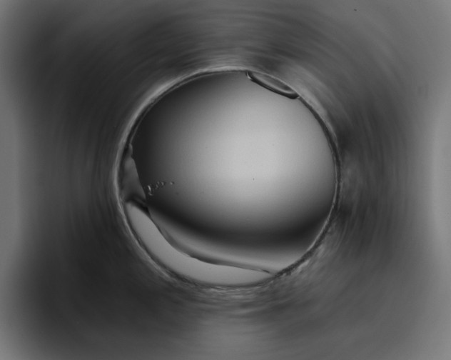 X0000096711197200802191502