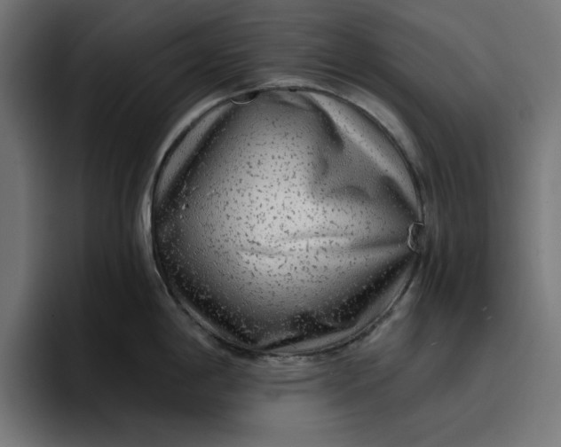 X0000096711198200802191502