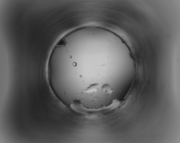 X0000096711199200802191502