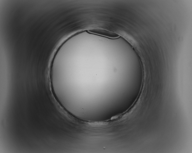 X0000096711200200802191502