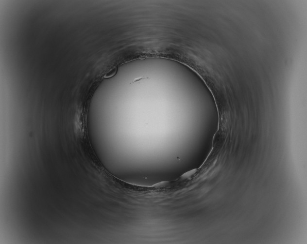 X0000096711202200802191501