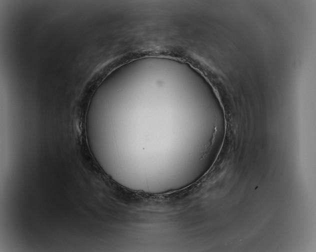 X0000096711206200802191501