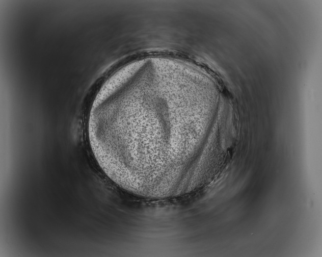 X0000096711208200802191501