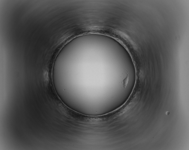 X0000096711209200802191501