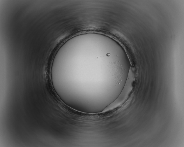 X0000096711210200802191501