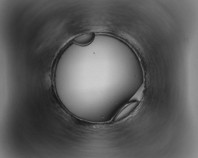 X0000096711212200802191501