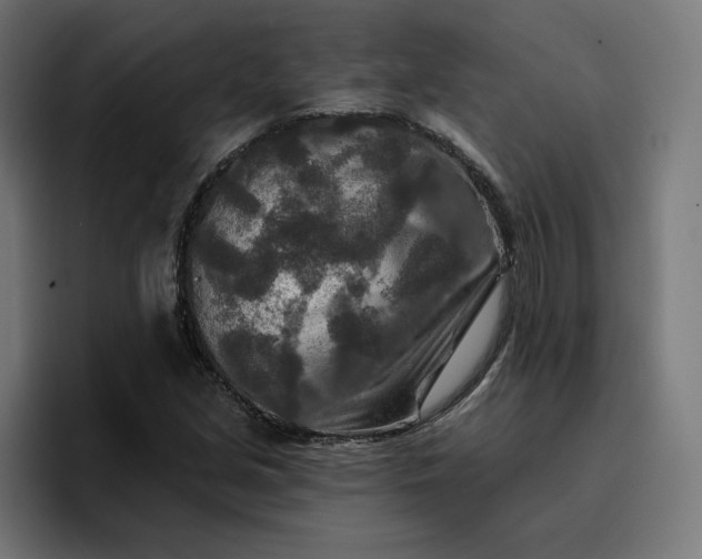 X0000096711213200802191501