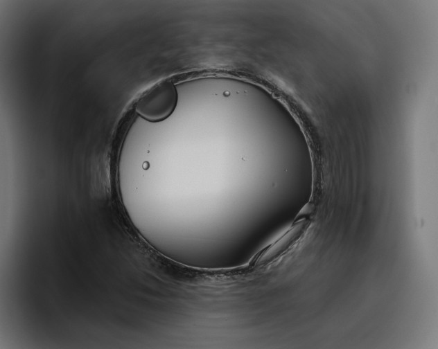 X0000096711214200802191501