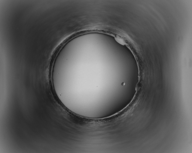 X0000096711216200802191501