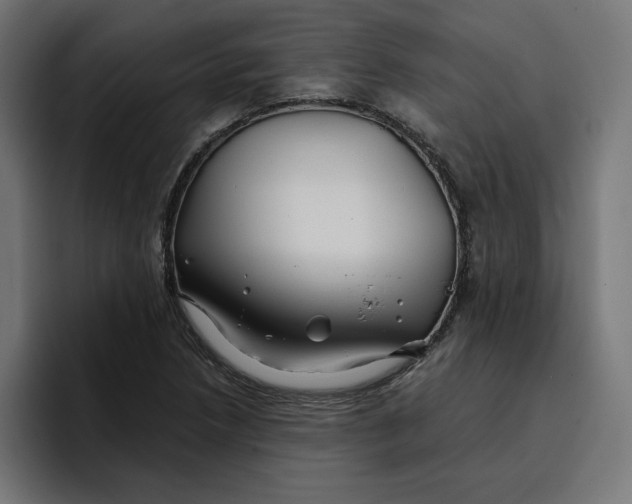 X0000096711218200802191501