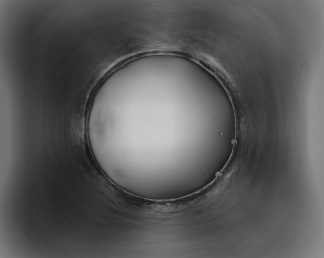 X0000096711220200802191501