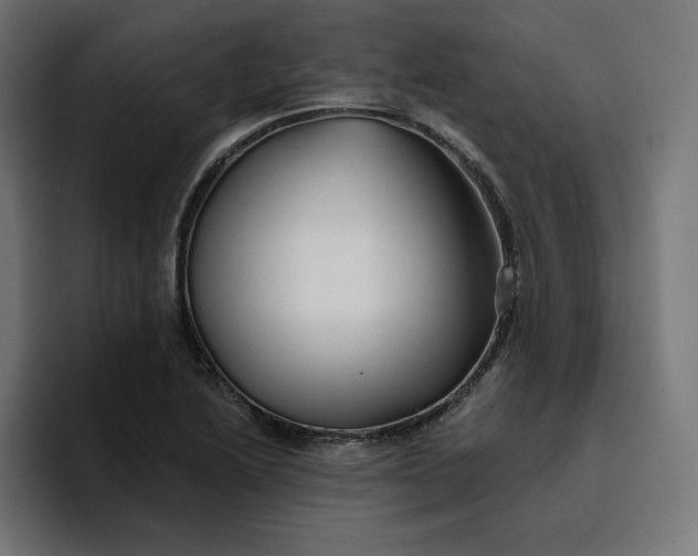 X0000096711222200802191501