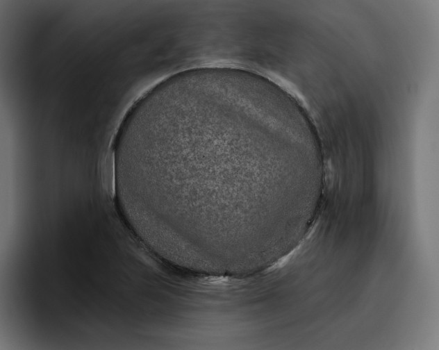 X0000096711223200802191501