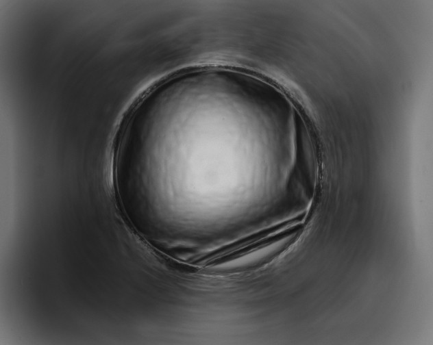 X0000096711224200802191501