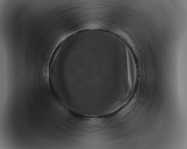 X0000096711226200802191502