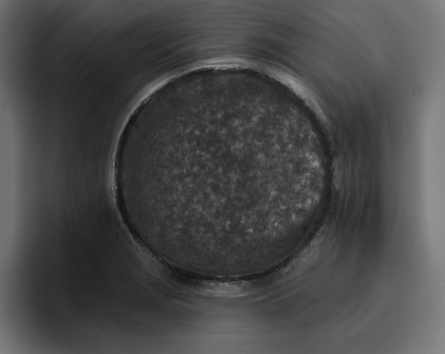 X0000096711229200802191502