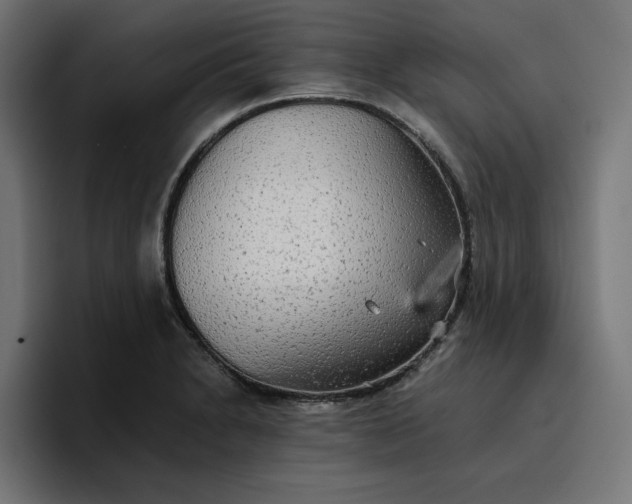 X0000096711230200802191502