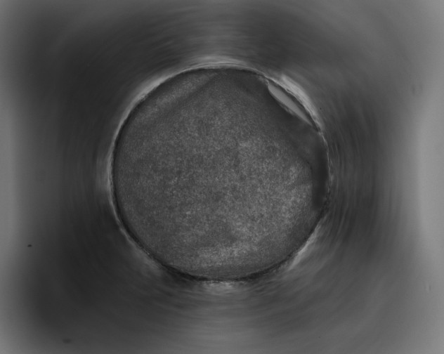 X0000096711231200802191502