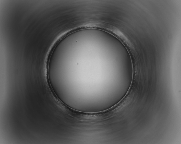 X0000096711232200802191502