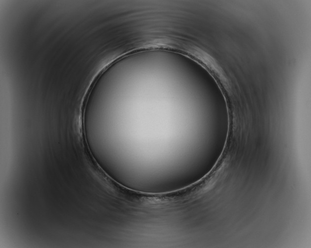 X0000096711234200802191502