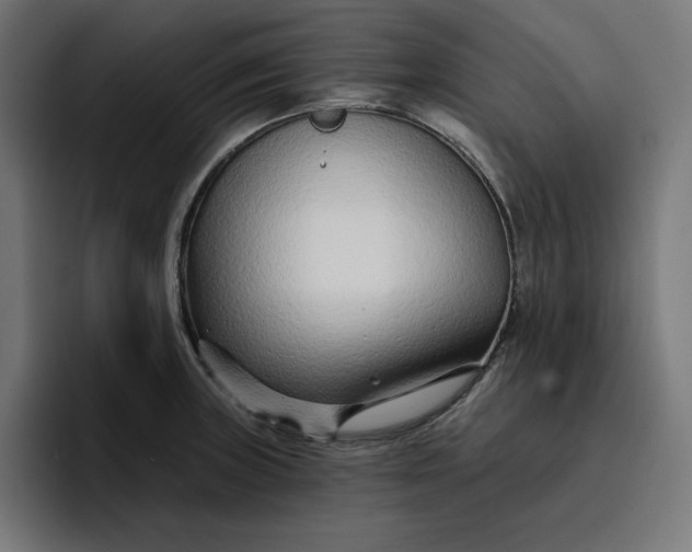 X0000096711235200802191502