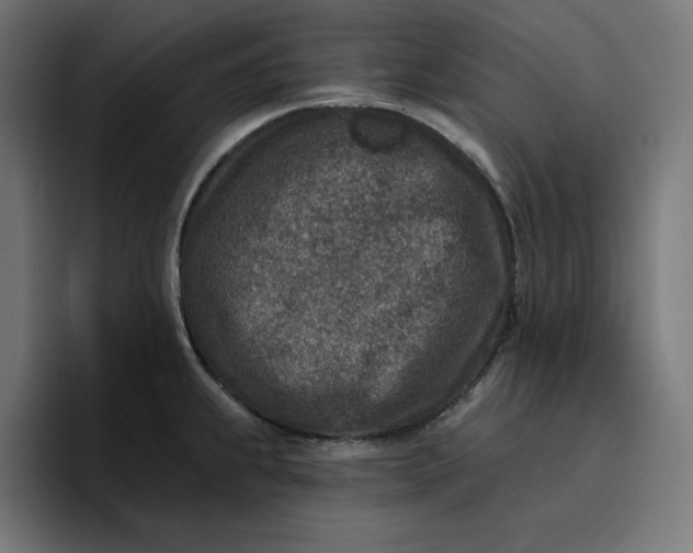 X0000096711239200802191502