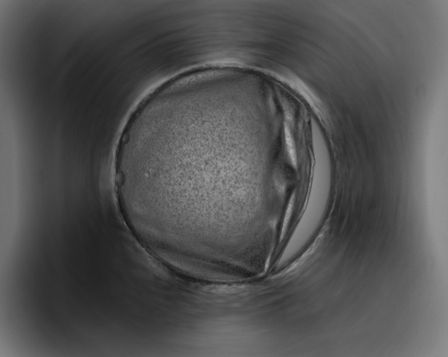 X0000096711240200802191502