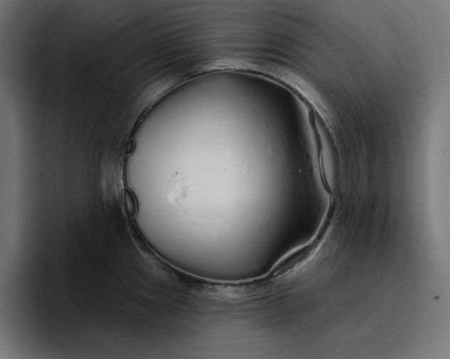 X0000096711241200802191502