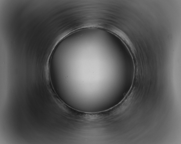 X0000096711242200802191502