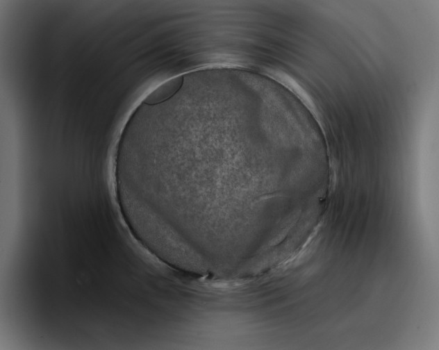 X0000096711243200802191502