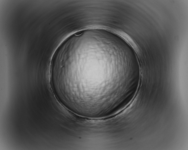 X0000096711244200802191502