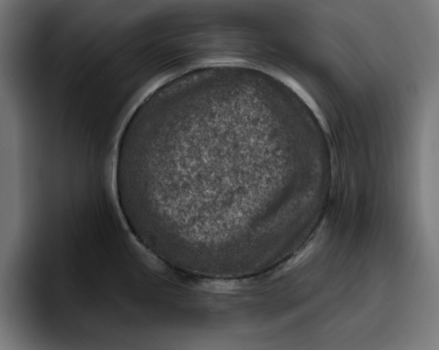 X0000096711245200802191502